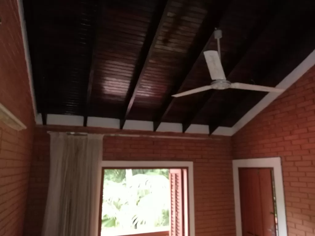 PIRIBEBUY 10,5 Has. con Arroyo, Casas, Animales y Frurales — foto 3