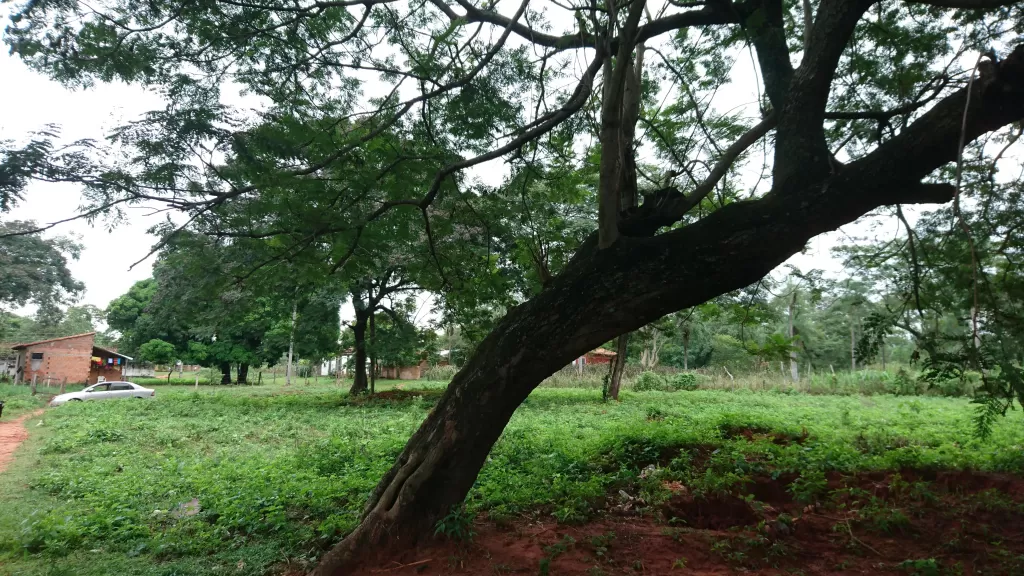 VENDO HERMOSO TERRENO EN AREGUA ZONA CAACUPEMI — foto 2