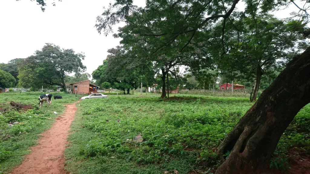 VENDO HERMOSO TERRENO EN AREGUA ZONA CAACUPEMI — foto 3