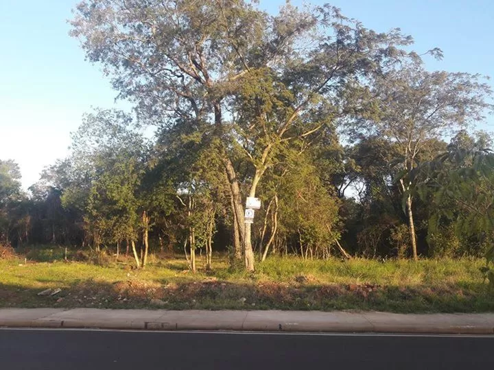 IMPERDIBLE TERRENO SOBRE LA COSTANERA DE ENCARNACIÓN SAN ISIDRO 4350mt2 — foto 3