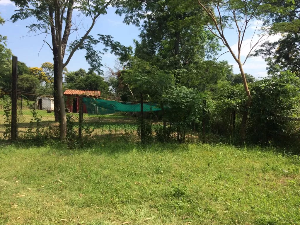 TERRENO EN MARIANO ROQUE ALONSO 7110 m2 — foto 2