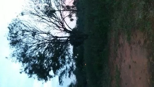 Terreno Capiata km20 — foto 3