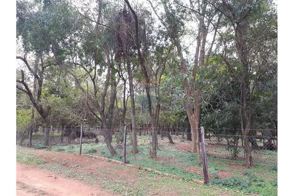 VENDO AMPLIO TERRENO EN SURUBI`i — foto 2