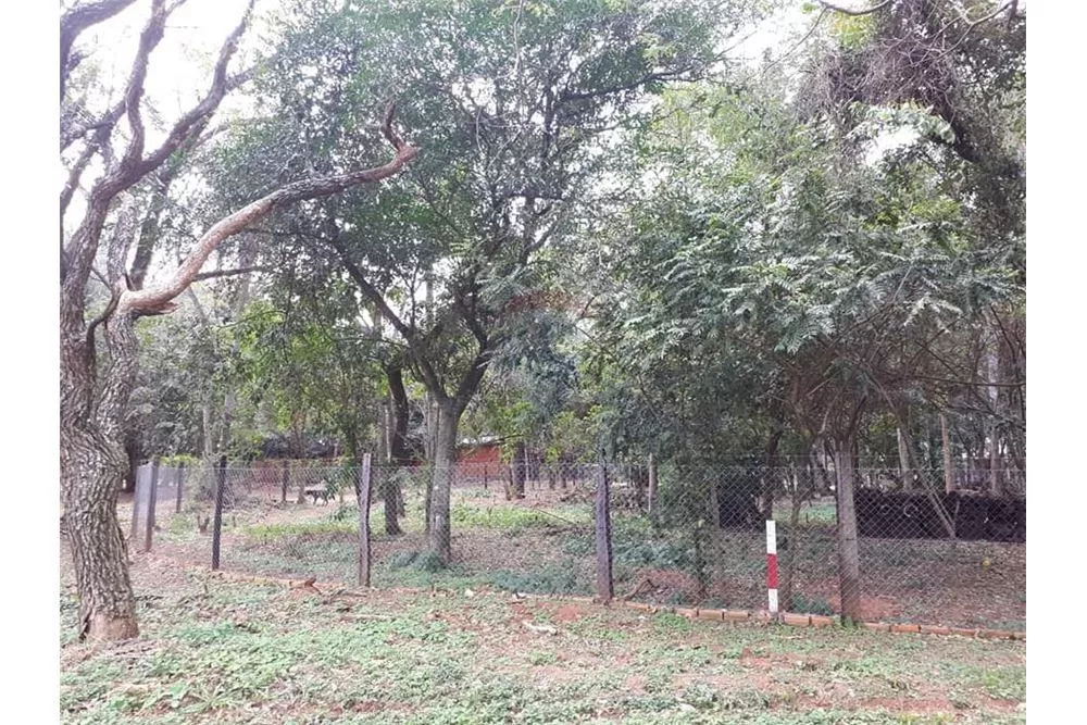 VENDO AMPLIO TERRENO EN SURUBI`i — foto 3