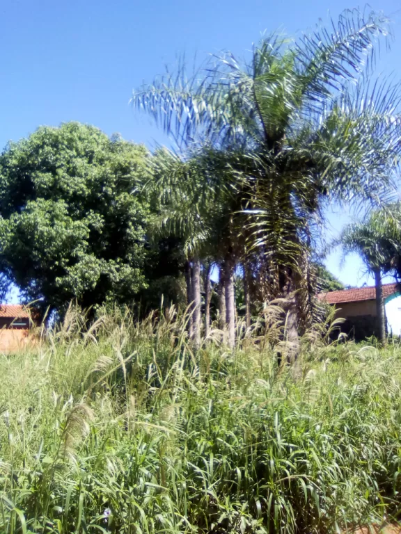 Remato terreno barato!!!! — foto 2
