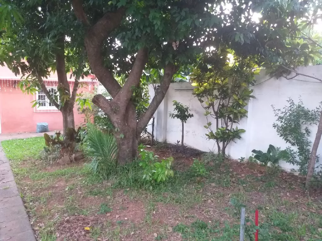 REMATO TERRENO CON CASA A REFACCIONAR — foto 3