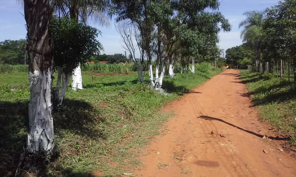 Terrenos en Villeta — foto 2