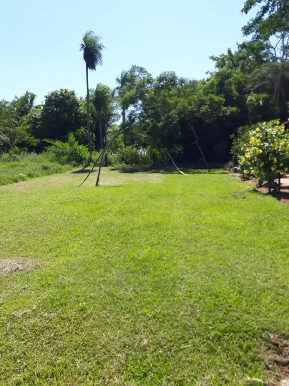 VENDO HERMOSO TERRENO. ZONA MARAMBURE-LUQUE. — foto 3