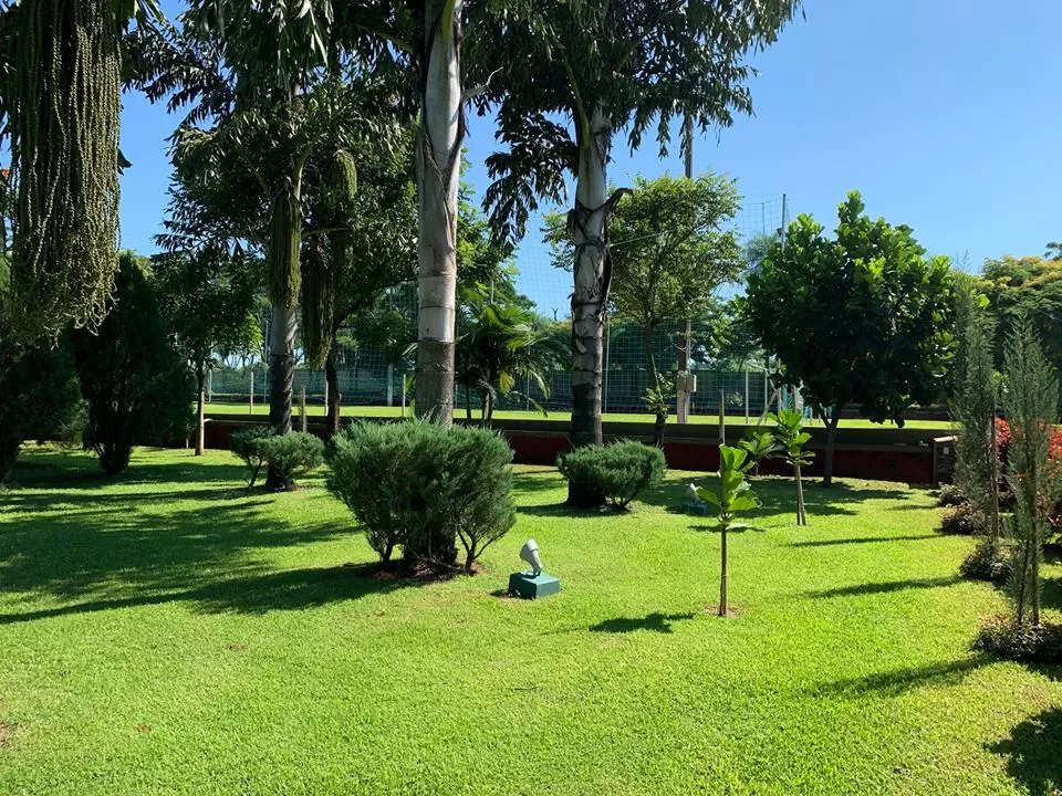 VENDO QUINTA EN ITA 6 HECTAREAS — foto 3