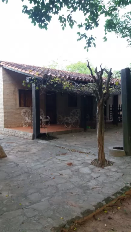 Excelente campo de 10 HAS con Arroyo sobre la ruta — foto 3