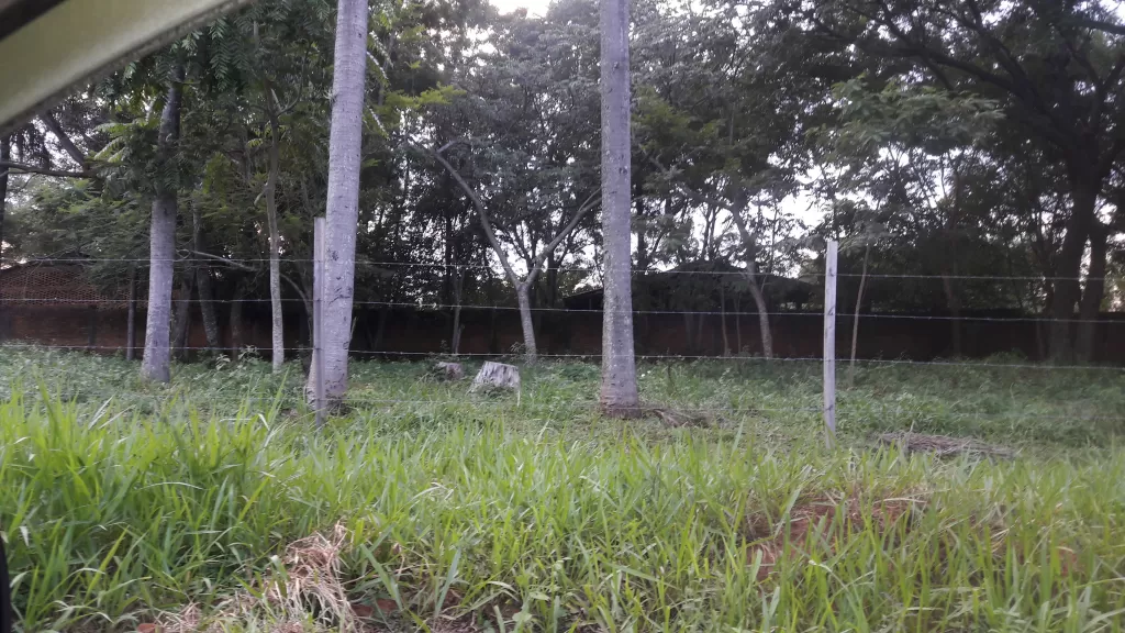 VENDO TERRENO — foto 2