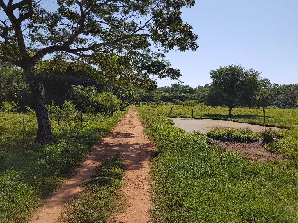 Vendo propiedad de 1.5 has en Ypane — foto 2