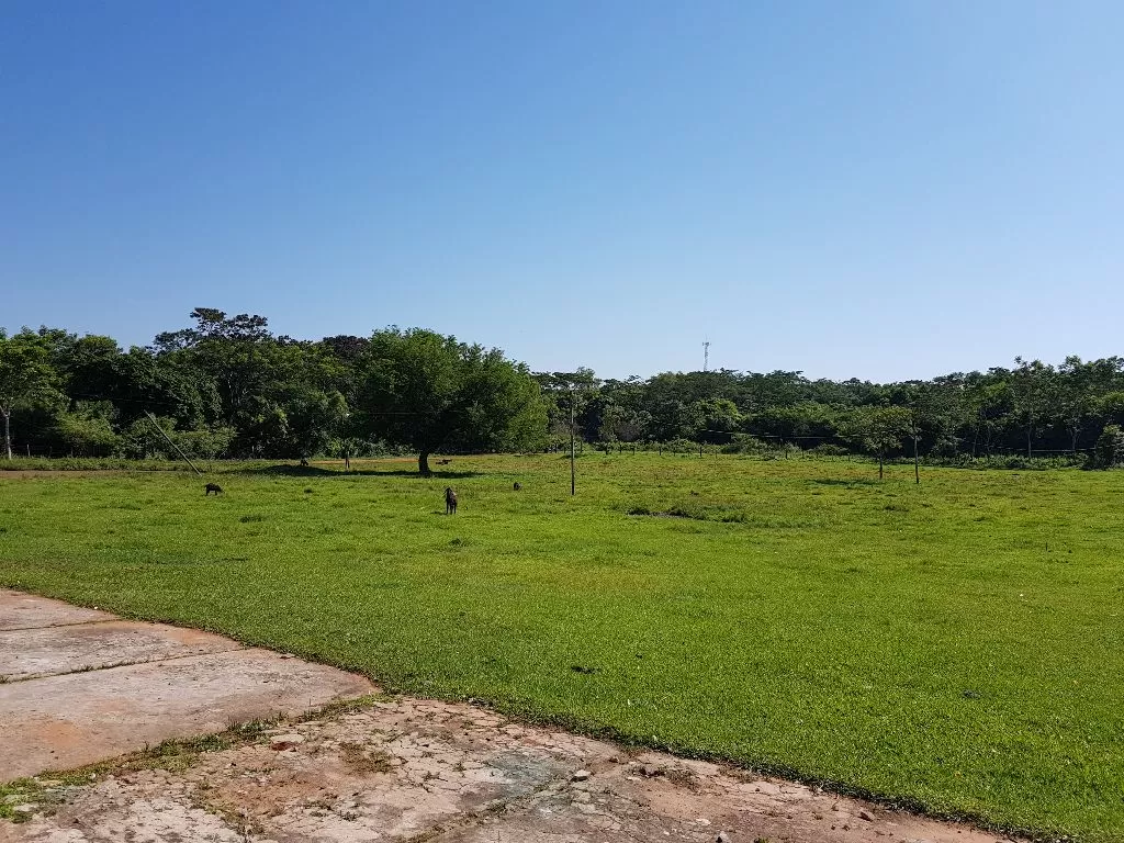 Vendo propiedad de 1.5 has en Ypane — foto 3