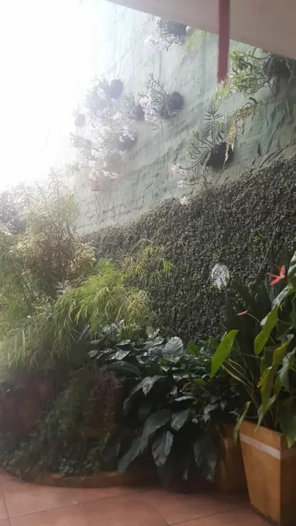 VENDO CASA EN CIUDAD DEL ESTE ZONA ÁREA 4 COD 1478 — foto 3