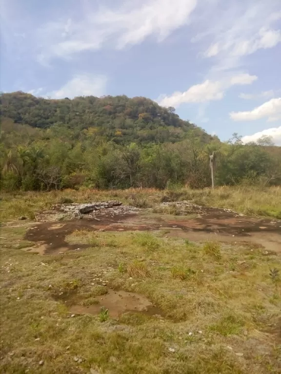 HERMOSA CATARATAS..26 HECTAREAS EN PARAGUARI,ZONA MBATOVI.. — foto 3