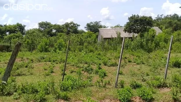 VENTA DE INMUEBLE DE 10 HECTAREAS — foto 3