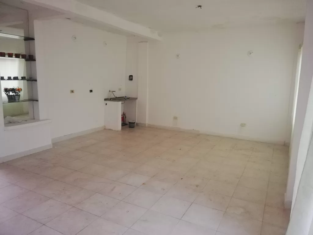 DEPARTAMENTO ZONA ÑU GUAZU,CIT,FABRICA PUMA. — foto 2