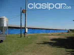 VENDO HERMOSA GRANJA EN LOMA GRANDE, NUEVA COLOMBIA COD 1970 — foto 2