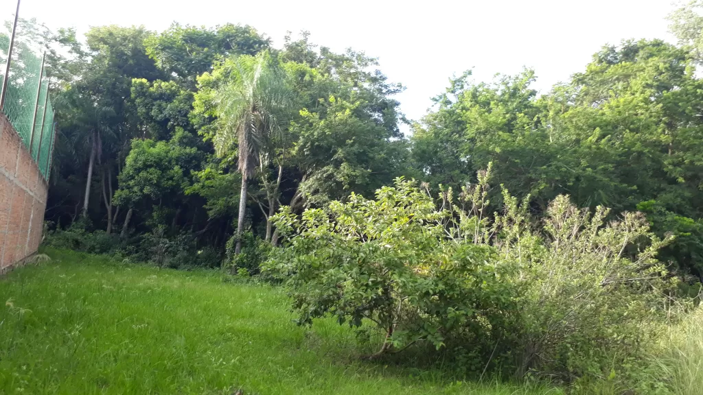 Vendo terreno en Aregua. A pasos de la ruta aregua patiño. — foto 2