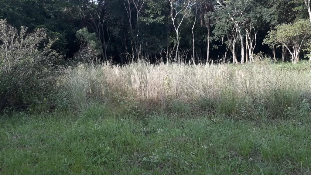 Vendo terreno en Aregua. A pasos de la ruta aregua patiño. — foto 3