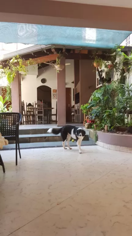 OFERTA! VENDO Amplia Casa en el Barrio Mburucuya — foto 3