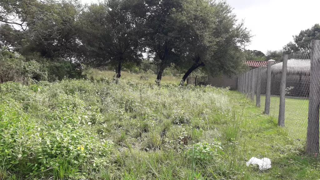vendo terreno titulado,barrio Rosa Mística — foto 3