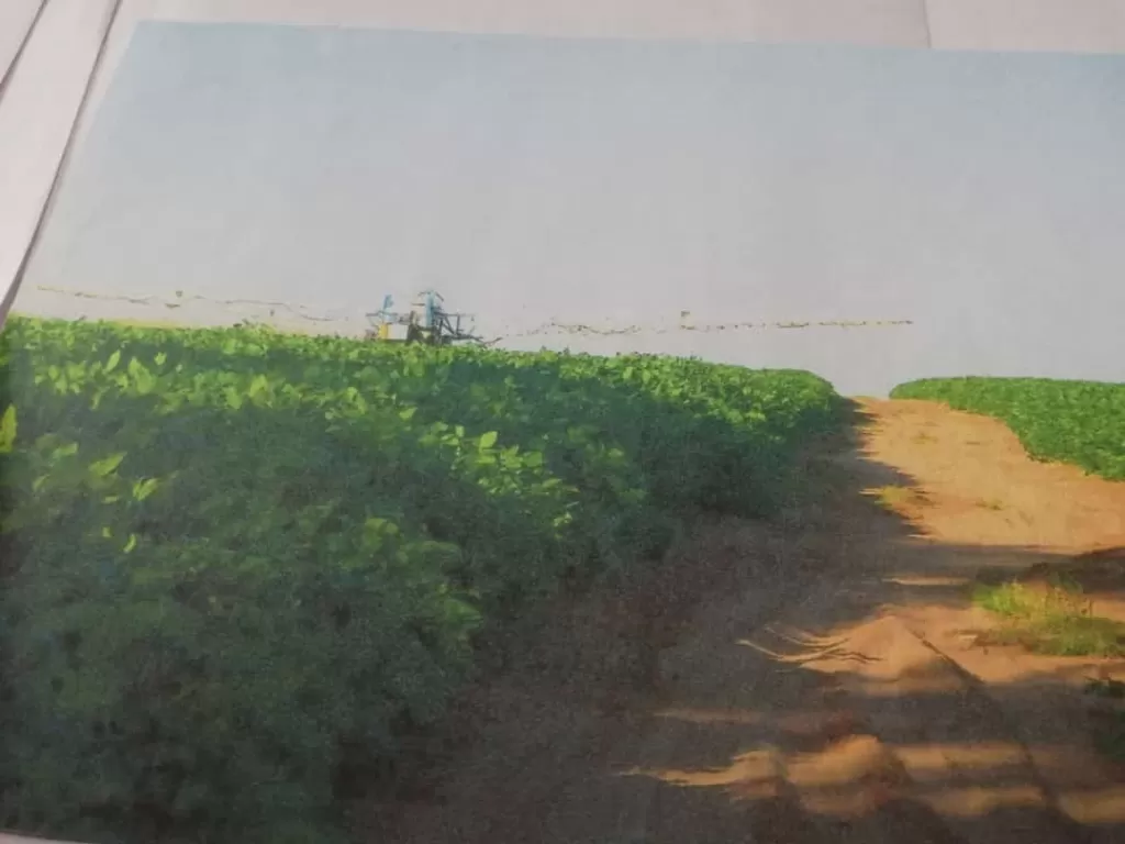 SE VENDE ESTANCIA EN EL CHACO FORMADA — foto 2
