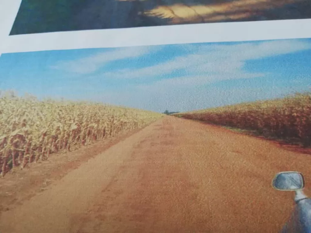 SE VENDE ESTANCIA EN EL CHACO FORMADA — foto 3
