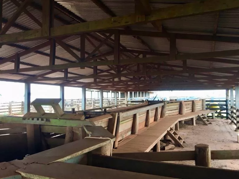 Campo Con 4.500 Has En Amambay — foto 3