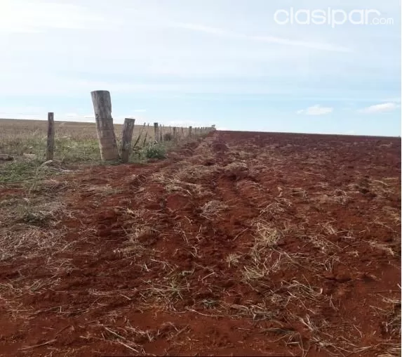 Campo De 8.018 Ha En Canindeyu — foto 3