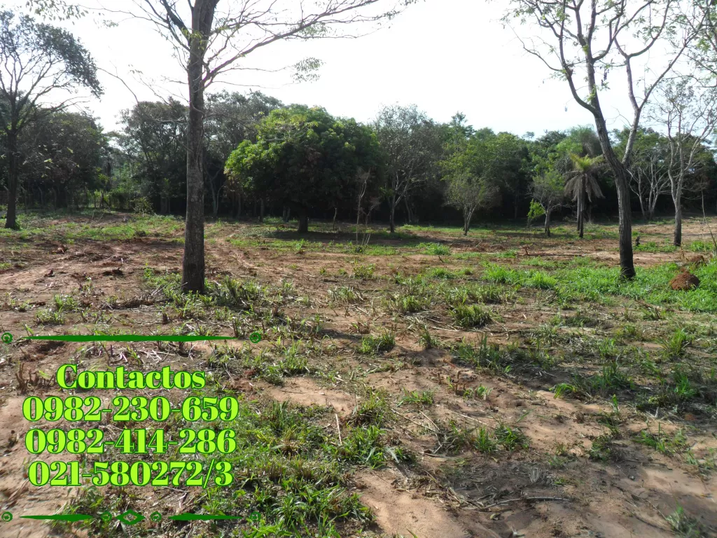 LOTES EN PIRIBEBUY FRACCIÓN MCAL. ESTIGARRIBIA — foto 2
