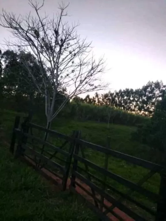 CAMPO DE 28 HECTÁREAS EN TRINIDAD ITAPUA — foto 2