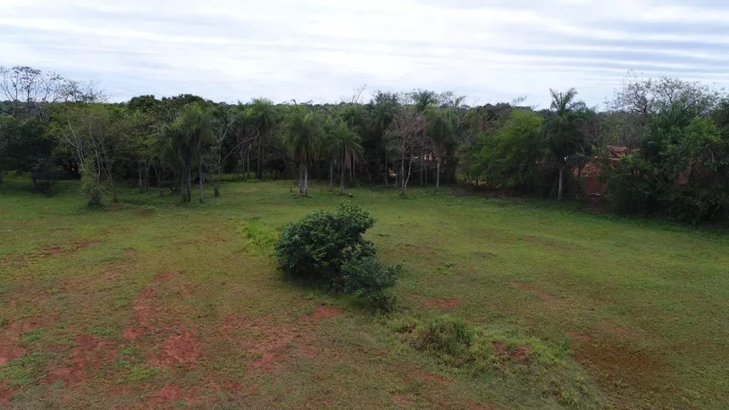 Vendo Terreno sobre Ruta en Luque – Limpio. — foto 2