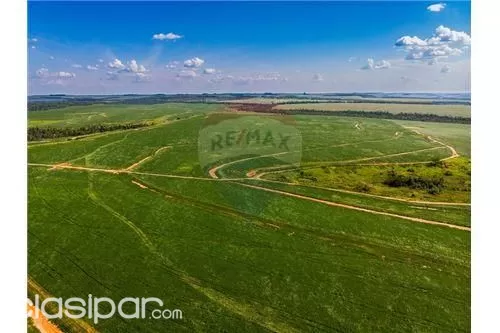 Vendo Importante Establecimiento Agroganadero — foto 2