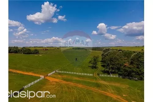 Vendo Importante Establecimiento Agroganadero — foto 3