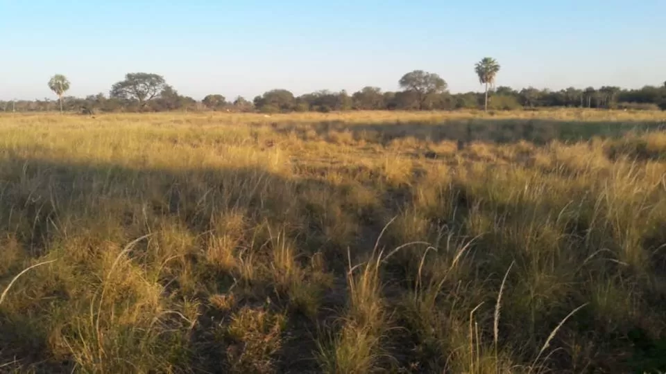 Vendo Hermosa Propiedad Rural ubicada en el Chaco — foto 2