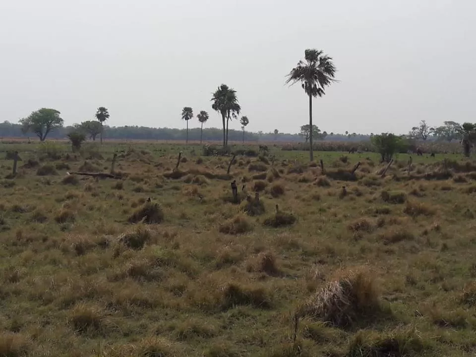 Vendo Hermosa Propiedad Rural ubicada en el Chaco — foto 3
