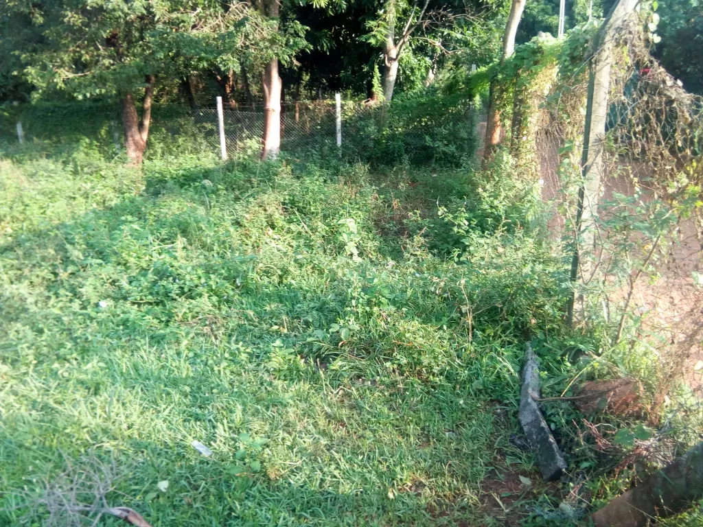Vendo terreno — foto 2