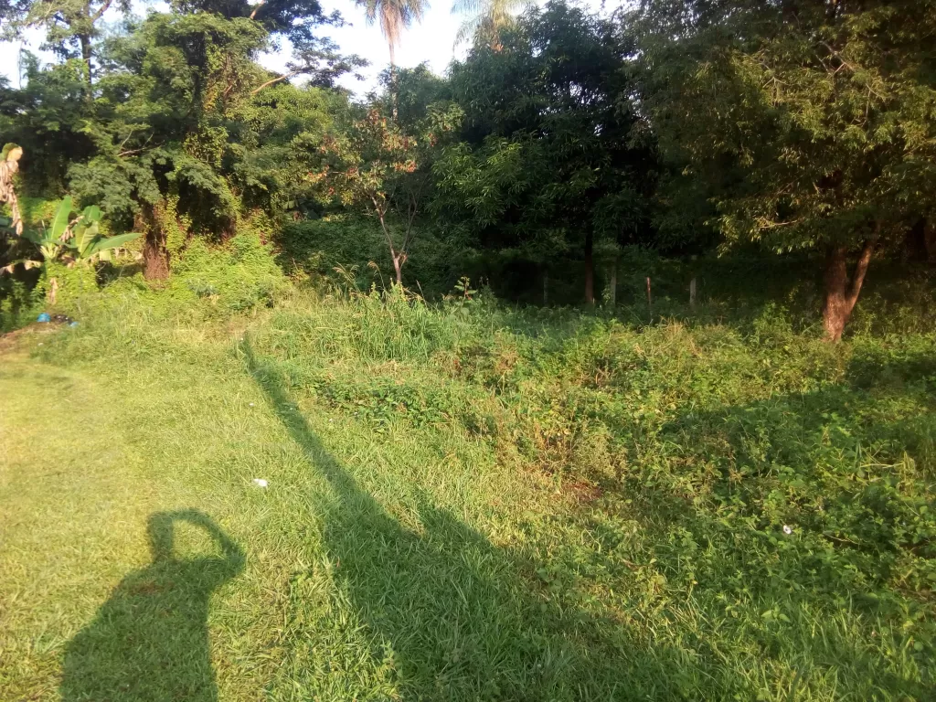 Vendo terreno — foto 3