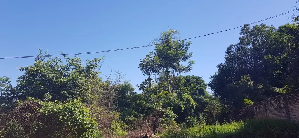 Para inversión en el centro de la Cuidad de Eusebio Ayala, Barrero Grande — foto 2