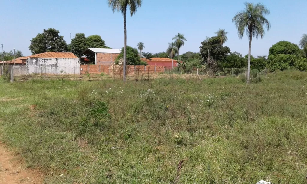 VENDO HERMOSO TERRENO EN CAPIATA ZONA NARANJATY — foto 2