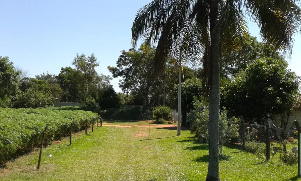 VENDO HERMOSO TERRENO EN CAPIATA ZONA NARANJATY — foto 3
