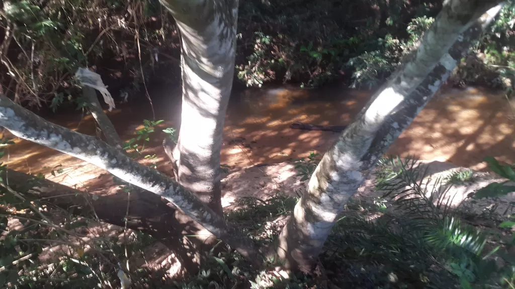 Superficie 6000 mts2 un eden en ytu — foto 2