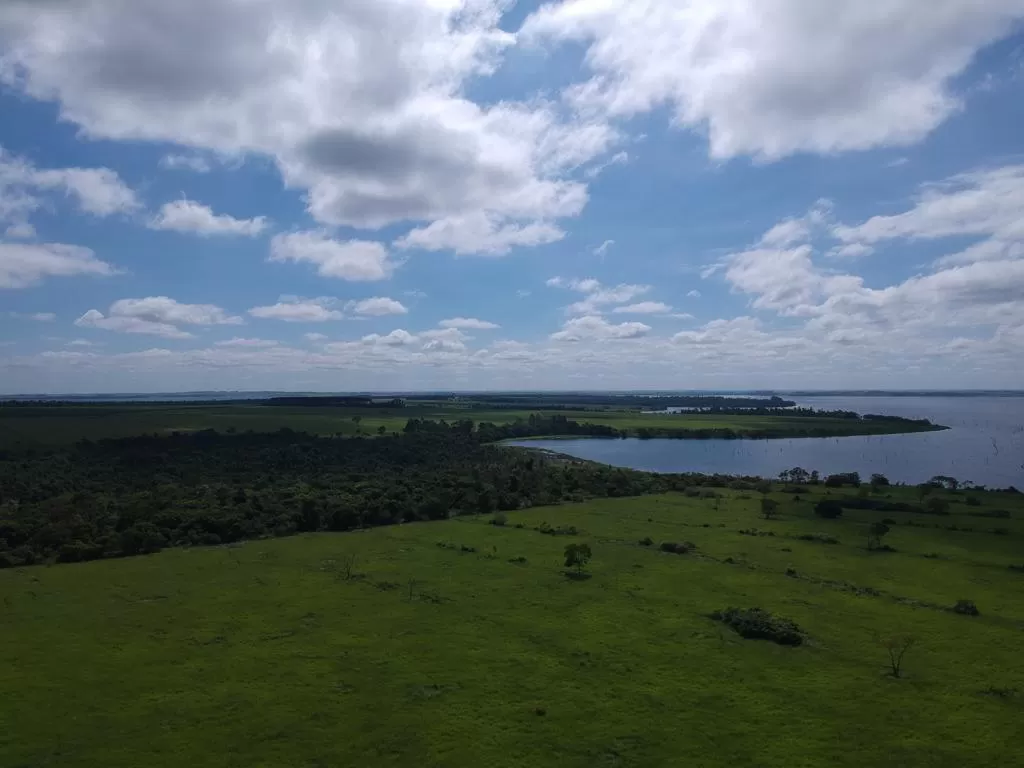 Vendo Propiedad Rural de 88 hectáreas en Colonia Yguazú, Colonia Japonesa- Hernandarias — foto 2