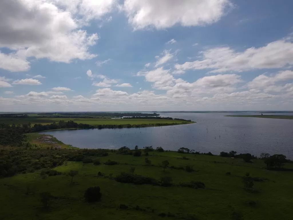 Vendo Propiedad Rural de 88 hectáreas en Colonia Yguazú, Colonia Japonesa- Hernandarias — foto 3
