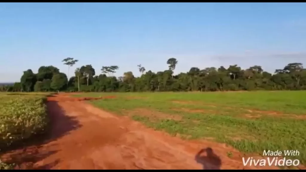 1.000 HAS DE TIERRA CAMINO A CURUGUATY PARA SOJA — foto 2