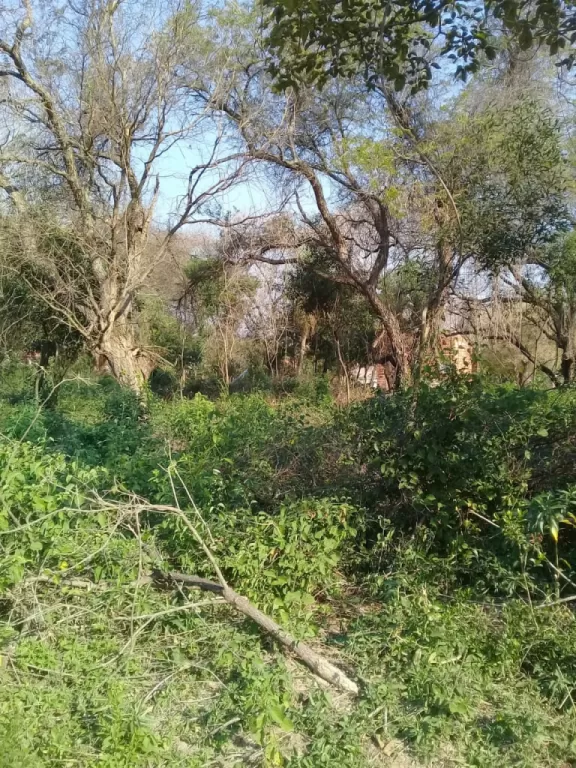 Vendo 2 Terrenos en Ypane — foto 2