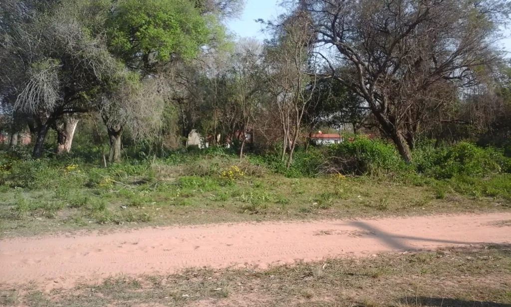 Vendo 2 Terrenos en Ypane — foto 3