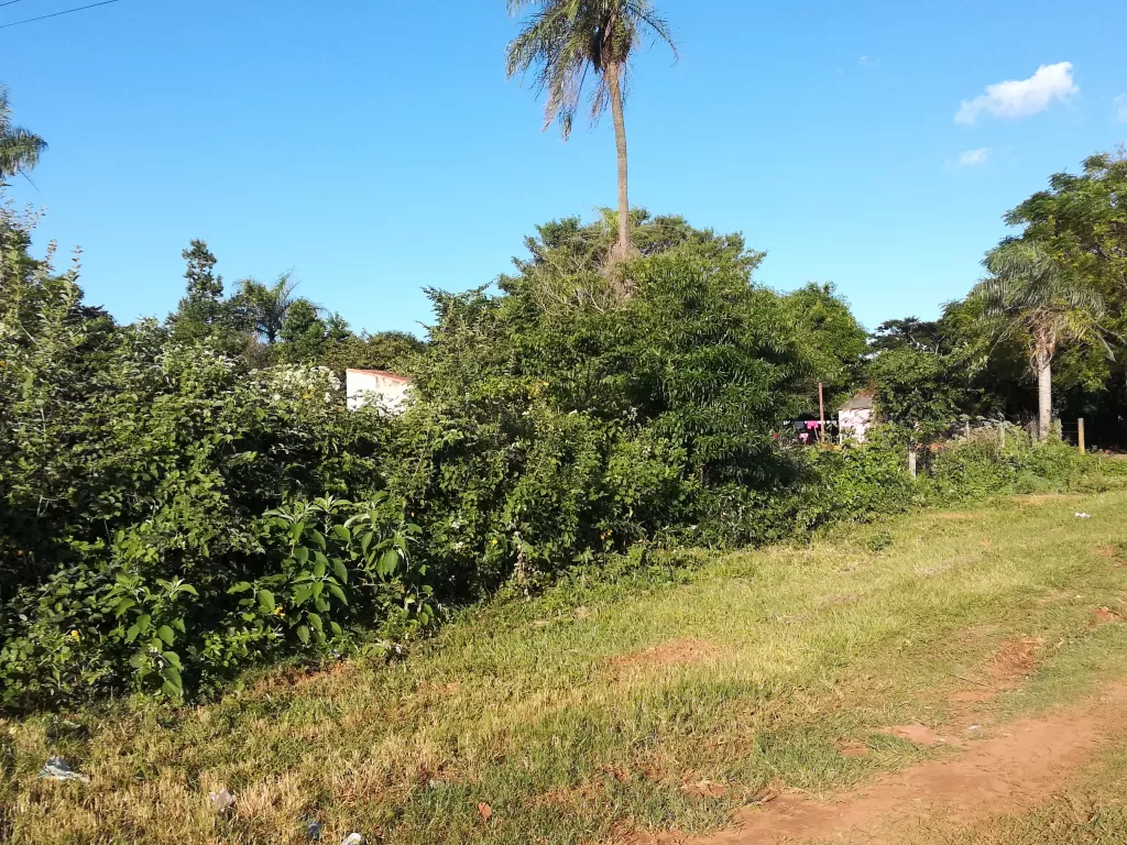 Vendo 3 lotes de 461 m2 cada uno. — foto 3