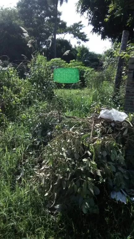 TERRENO EN VENTA — foto 2